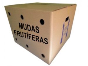 Caixas de Papelão para Mudas Frutíferas