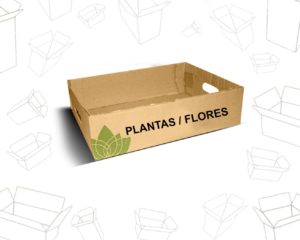 Caixas de Papelão para Plantas e Flores