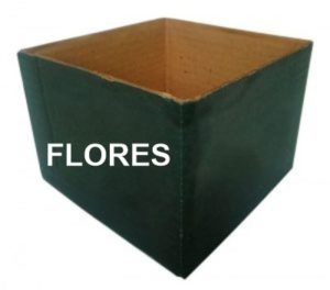 Caixas de Papelão para plantas flores vasos e mudas frutíferas